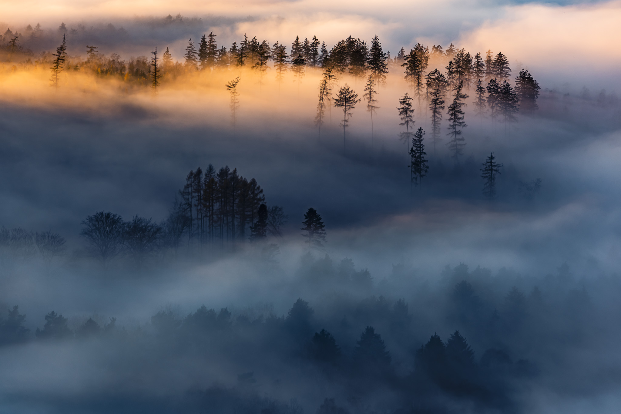 Landschaft in Taunus mit Wald im Nebel angestrahlt durch Streiflicht der untergehende Sonne.