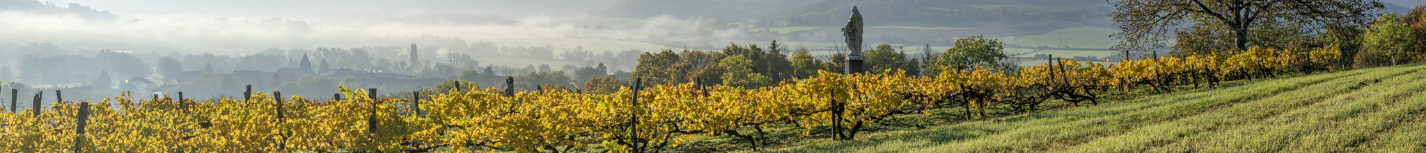 Ausblick auf ländliches Frankreich.