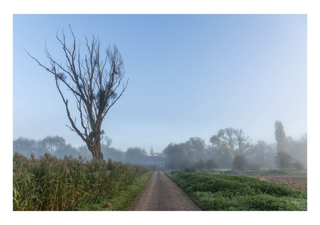 Ein nebliger Morgenweg führt durch stille Felder, flankiert von einem kahlen Baum und fernem Kirchturm.