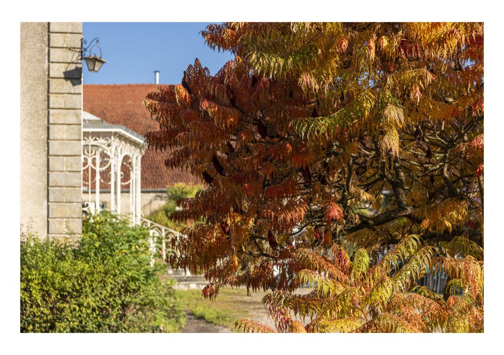 Herbstfarben vor der klassischen Fassade von Perle d'Anrosey.